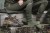 Skarpety-mysliwskie-Deerhunter-Woll-Deluxe-Long-8424-Grape-Leaf (1).jpg