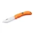 swede-10-orange-2_grande.webp