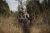 617bfcd77d634_d_i__5720-95_6822-95.webp